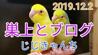 動画でブログです🐣