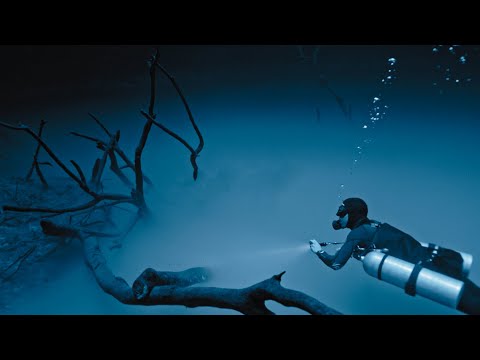 Kx5 - Alive (KREAM Remix) ft The Moth & The Flame