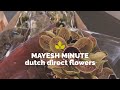 Mayesh Minute Dutch Direct Flowers January 12
