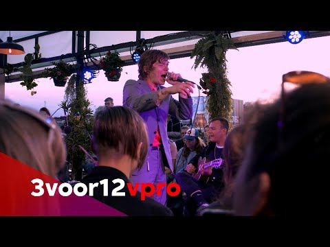 Cage The Elephant - Sessie op Pinkpop 2019