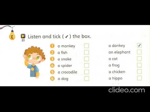 STORYFUN 1 - #8 Not today! E23 (AUDIO)