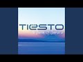 The Force of Gravity (Tiësto Mix)