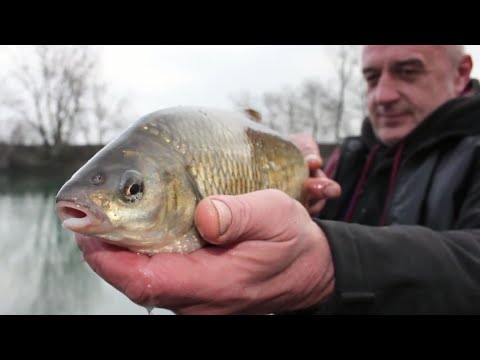 FEEDEROM U LEDENOJ RIJECI - Ninoslav Žagar