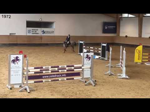 Zuckerpuppe v. L.B.Convall-Cassini II