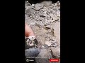 Jurassic Fossil Crack Open Ammonite Ammonite Nr.4