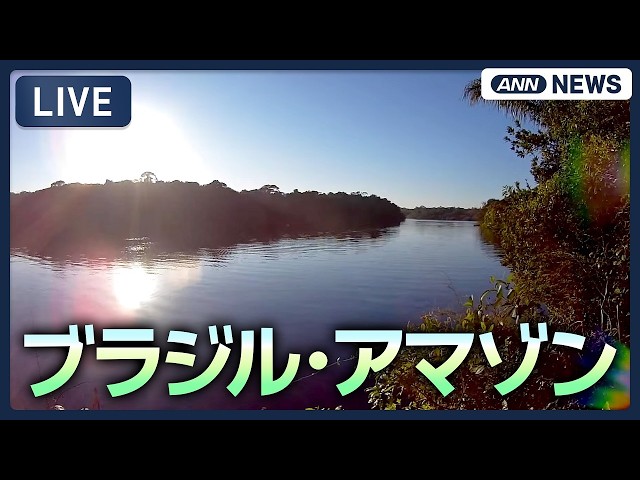 アマゾン ネグロ川支流 ジャングル @Evolução Ecolodge