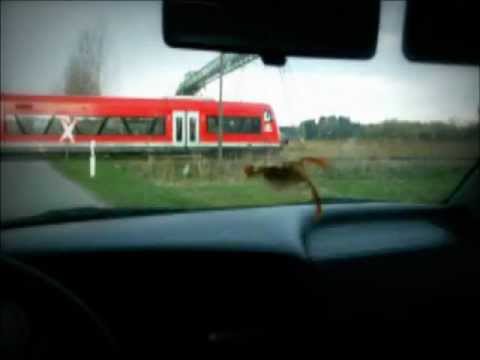 Der letzte Zug in Bad Schussenried