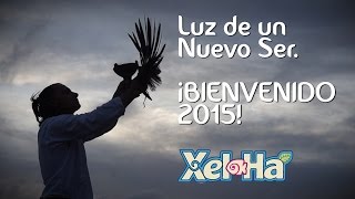 preview picture of video 'Luz de un Nuevo Ser. ¡Bienvenido 2015! - Parque Xel-Há, acuario natural en Tulum'