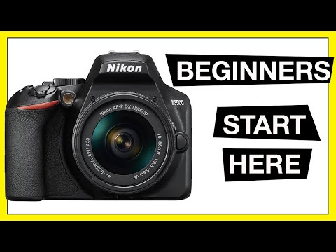 Photography Tips for Beginners - Why Programme mode is the best camera for beginners.
