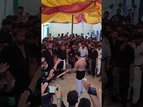 zanjeer Zani Talwar Ka Matam| Arbaeen Zuljanah Murtajiz Badshah Zuljanah Ashal Badshah Chehlum 2023