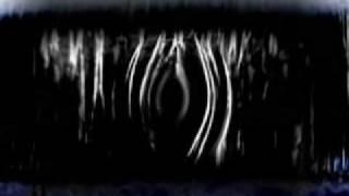 O YUKI CONJUGATE - my indigo birth