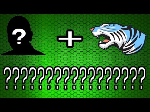 Youtube Collabs? Collabbing with Mr.Beast?