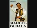 Marcel Budală Hora De Mână
