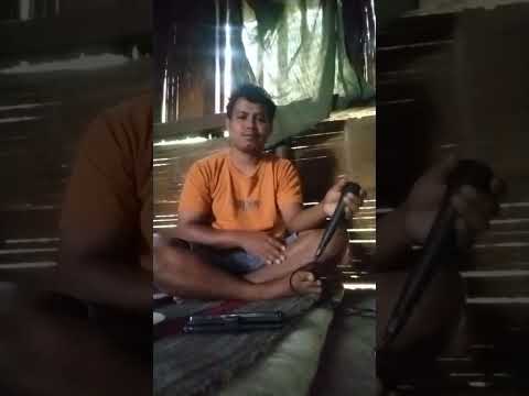 Cover lagu lembu adongm