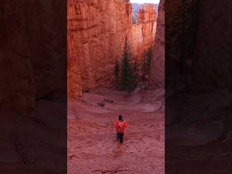 Wall Street Bryce Canyon National Park #natureshorts #travelshorts #travel