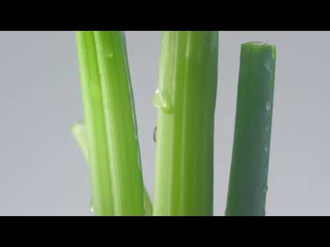 KRIV: Brand Audio-Visual Poem