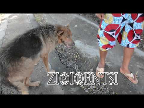 Lil'Simba - Zirirentsi