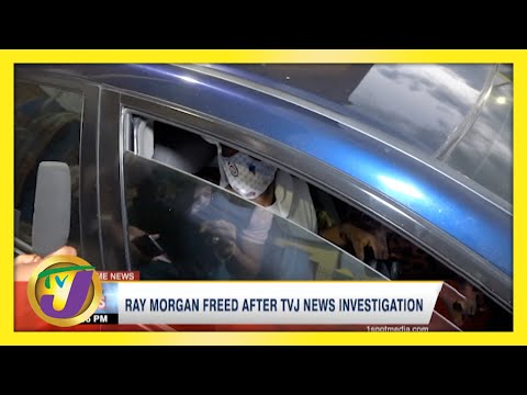 Jamaican Inmate Ray Morgan Freed After TVJ News Investigation TVJ News April 30 2021