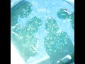 SPOOL - Winter