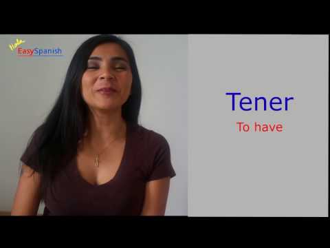 Grammar Verb TENER. Easy Spanish with Milena,  Learn Spanish