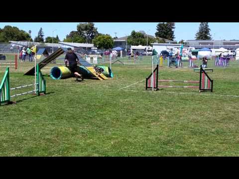 Tracy and Quimblee Snooker 7/12/14