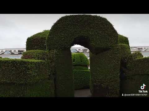 Rn el cementerio de Tulcán el más visitado Carchi Tulcán Ecuador..