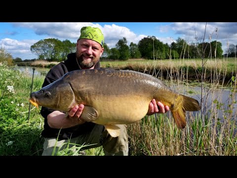 Matze Koch: Canned corn and wild fish - Matze's antics 05-2020