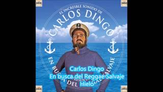 Carlos Dingo   Hielo