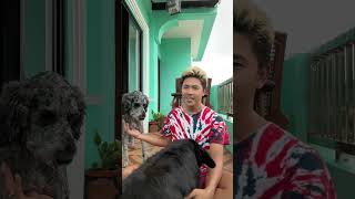 Nakakaya ba daw ng mga aso namin ang klima sa Pinas?