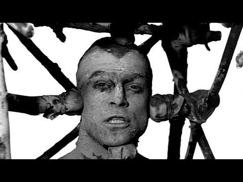 Die Toten Hosen // „Nichts bleibt für die Ewigkeit” [Offizielles Musikvideo]