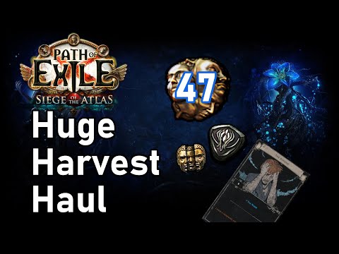 [PoE 3.17] Telvanni's Alch & Go Harvest Strategy | 47 Ex Profit in 100 Maps | Inspired by Grimro