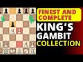 Greatest Collection Of The King S Gambit And Traps