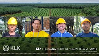 Peluang Kerja di Kebun Sawit KLK