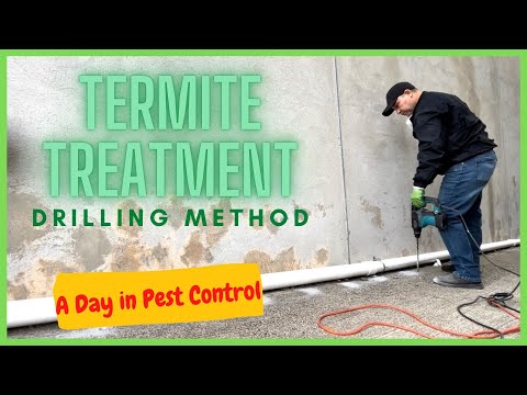 How to do Termite treatment, Drilling Method and Inside Foam, Apr 1