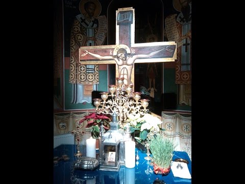 Sf. Trei Ierarhi - Predica Părintelui Marius Moşteanu - 30.01.2015