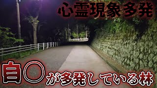 【閲覧注意】自殺が多発している林に行ったら心霊現象多すぎてやばかった