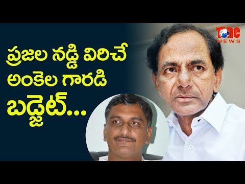 A Budget That Has Nothing For Common People!! | ప్రజల నడ్డి విరిచే �