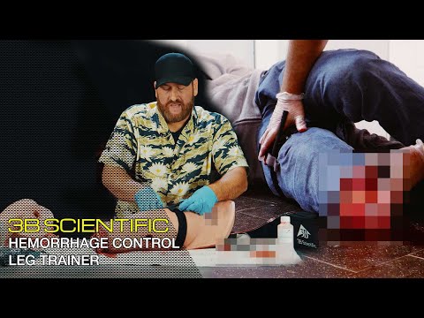 3B SCIENTIFIC TRAINER ZUR BLUTUNGSKONTROLLE AM BEIN P103