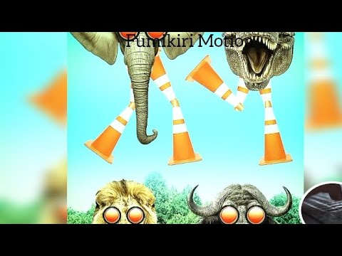 Fumikiri lights 🚦 railroad crossing animal style Japanese railroad crossing #fumikiri #railroad 