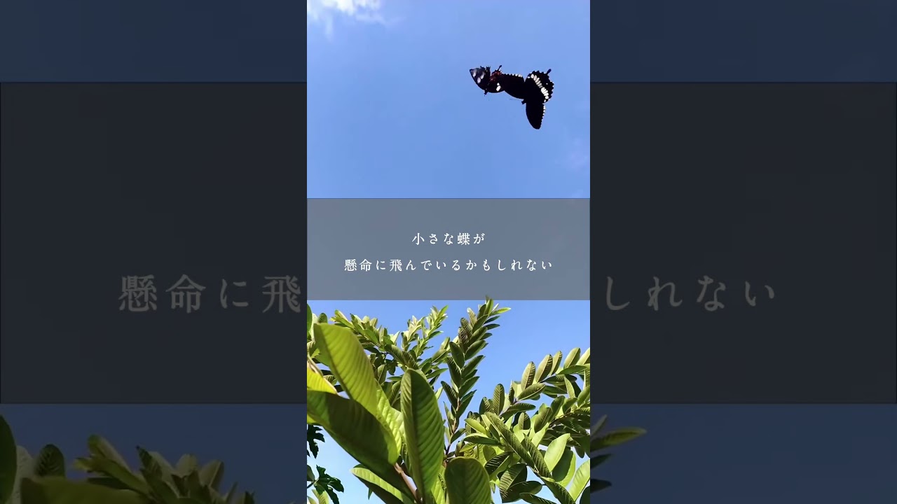 【女王の教室】生きるとは