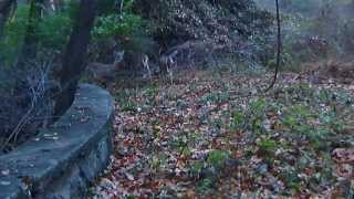 preview picture of video 'Forest Glen - National Park Seminary -  Nov 17, 2013 - Part 2 of 4'