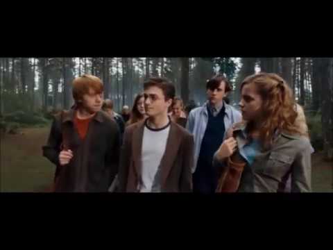 Harry Potter Scene, we have got something Voldemort don't!