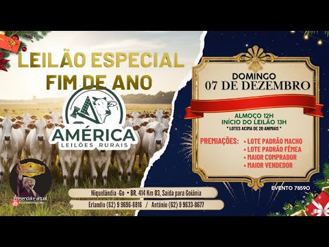 AMERICA LEILÕES EDIÇÃO ESPECIAL DE ANIVERSARIO SR ERLANDIO NIQUELÂNDIA-GO 07/12/2025 LIVE JENILSON