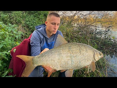 Pecanje Plotice na Unskom mirnacu. Dubinac i tanka glista !