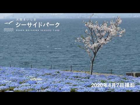 Zuiso 随想 想いをつづる 想いがひろがる