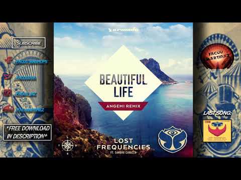 Lost Frequencies vs ANGEMI - Beautiful Life (Lost Frequencies Tomorrowland 2017 Edit)