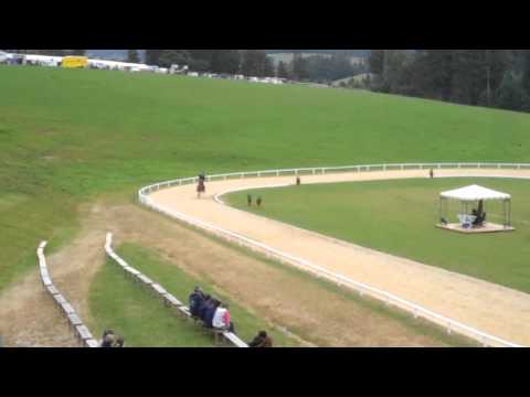 ÖM 2011 Semriach - 16.07. Video a - www.isibless.de