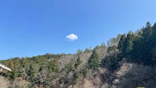 自分の配信