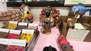 Ace Montessori Prosper TX @ project done on Continents