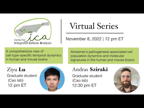 CICA Virtual Seminar Series- Lu_Sziraki- 11/8/2022